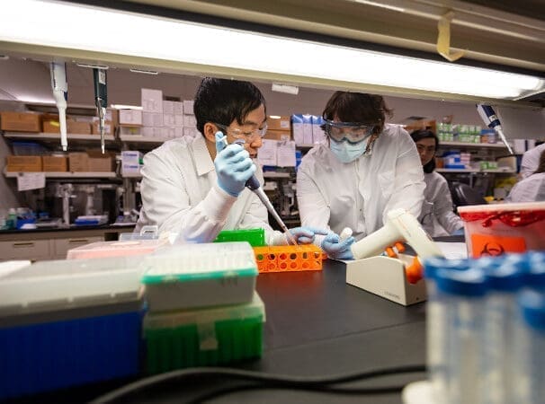 Clinical & Laboratory Immunology Internal Medicine Physicians