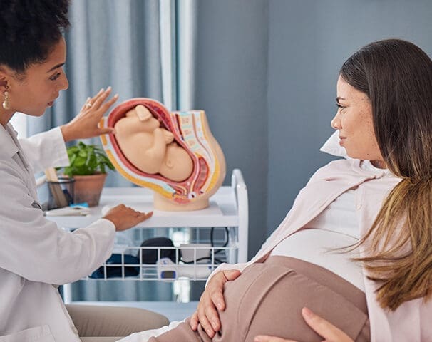 Perinatal Clinical Nurse Specialist